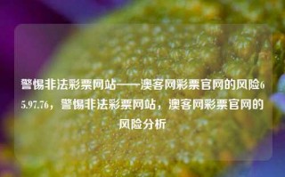 警惕非法彩票网站——澳客网彩票官网的风险65.97.76，警惕非法彩票网站，澳客网彩票官网的风险分析，警惕非法彩票网站，澳客网彩票官网风险分析的重要性