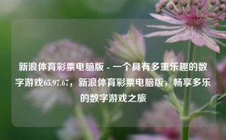 新浪体育彩票电脑版 - 一个具有多重乐趣的数字游戏65.97.67，新浪体育彩票电脑版，畅享多乐的数字游戏之旅，新浪体育彩票电脑版 - 畅游多彩数字游戏的乐趣之旅65.97.67