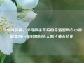 白小姐彩票，探寻数字背后的幸运密码白小姐彩票白小姐彩票创始人图片黄金价格