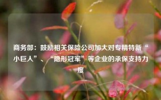 商务部：鼓励相关保险公司加大对专精特新“小巨人”、“隐形冠军”等企业的承保支持力度