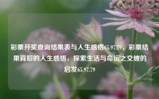 彩票开奖查询结果表与人生感悟65.97.79，彩票结果背后的人生感悟，探索生活与命运之交缠的启发65.97.79，彩后心得——挖掘中奖结在上的隐藏之誻悟，寻找生活与命运的交响协奏。