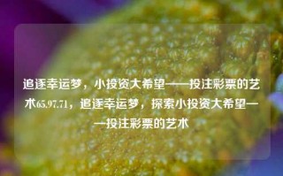 追逐幸运梦，小投资大希望——投注彩票的艺术65.97.71，追逐幸运梦，探索小投资大希望——投注彩票的艺术，追逐幸运梦，探索小投资大希望——投注彩票的艺术