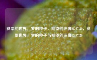 彩票的世界，梦的种子，期望的注脚65.97.80，彩票世界，梦的种子与期望的注脚65.97.80，彩票世界的梦与期望注脚，65.97.80 梦种种子绽放