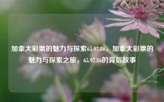 加拿大彩票的魅力与探索65.97.86，加拿大彩票的魅力与探索之旅，65.97.86的背后故事，加拿大彩票，探寻65.97.86背后的魅力与冒险之旅