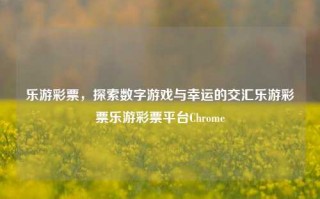 乐游彩票，探索数字游戏与幸运的交汇乐游彩票乐游彩票平台Chrome