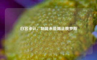 白宫承认：制裁未能阻止俄罗斯