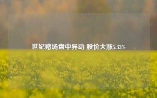 世纪赌场盘中异动 股价大涨5.33%