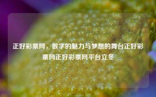 正好彩票网，数字的魅力与梦想的舞台正好彩票网正好彩票网平台立冬