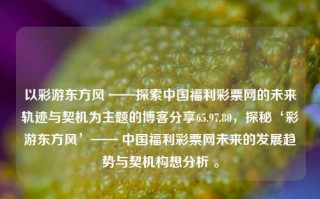 以彩游东方风 ——探索中国福利彩票网的未来轨迹与契机为主题的博客分享65.97.80，探秘‘彩游东方风’—— 中国福利彩票网未来的发展趋势与契机构想分析 。，彩游东方风，中国福利彩票网未来发展趋势与契机构想分析