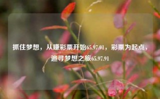 抓住梦想，从赚彩票开始65.97.91，彩票为起点，追寻梦想之旅65.97.91，彩票为起点，追寻梦想之旅65.97.91