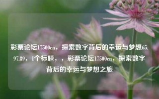 彩票论坛17500cn，探索数字背后的幸运与梦想65.97.89，1个标题，，彩票论坛17500cn，探索数字背后的幸运与梦想之旅，彩票论坛17500cn，探索数字背后的幸运与梦想之旅