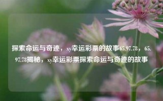 探索命运与奇迹，xy幸运彩票的故事65.97.78，65.97.78揭秘，xy幸运彩票探索命运与奇迹的故事，XY幸运彩票探索命运与奇迹，深度解秘数字组合之旅 —— 从揭密在案如何产生到每个数字背后的故事。