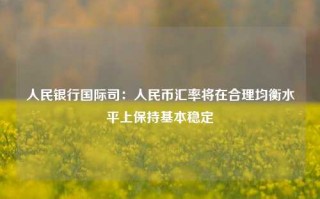 人民银行国际司：人民币汇率将在合理均衡水平上保持基本稳定