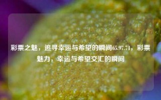 彩票之魅，追寻幸运与希望的瞬间65.97.74，彩票魅力，幸运与希望交汇的瞬间，彩票之魅力，追寻幸运与希望瞬间交融