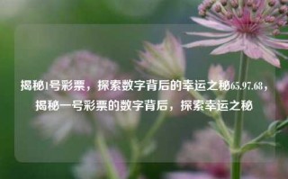 揭秘1号彩票，探索数字背后的幸运之秘65.97.68，揭秘一号彩票的数字背后，探索幸运之秘，揭秘数字背后的幸运之秘，1号彩票的秘密探索65.97.68