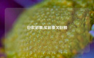 巨款彩票,买彩票欠巨额