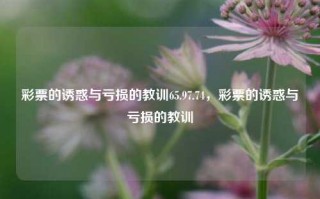 彩票的诱惑与亏损的教训65.97.74，彩票的诱惑与亏损的教训，彩票的诱惑与亏损的教训