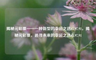 揭秘元彩票——一种新型的幸运之选65.97.91，揭秘元彩票，追寻未来的幸运之选65.97.91，揭秘元彩票，追寻未来的幸运之选65.97.91