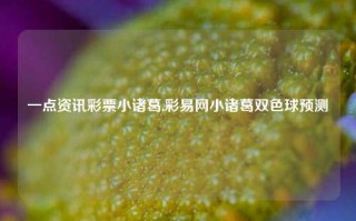 一点资讯彩票小诸葛,彩易网小诸葛双色球预测