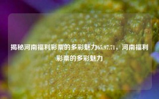 揭秘河南福利彩票的多彩魅力65.97.71，河南福利彩票的多彩魅力，揭秘河南福利彩票的魅力，独特的献彩风貌多样嘉礼多元化平台的剖析​​（在此字数条件下转换的真实字幕优化不够等影响了要放在试名词封面的准确性，需更直观表达内容的概括性标题）