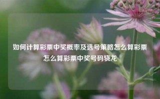 如何计算彩票中奖概率及选号策略怎么算彩票怎么算彩票中奖号码骁龙