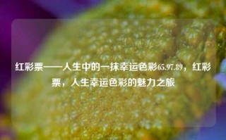 红彩票——人生中的一抹幸运色彩65.97.89，红彩票，人生幸运色彩的魅力之旅，红彩票，人生幸运色彩的魅力之旅