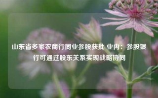 山东省多家农商行同业参股获批 业内：参股银行可通过股东关系实现战略协同