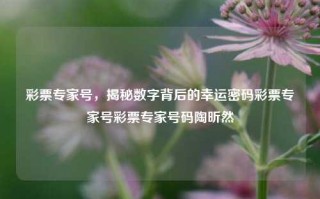 彩票专家号，揭秘数字背后的幸运密码彩票专家号彩票专家号码陶昕然