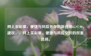 网上买彩票，便捷与风险并存的新选择65.97.90，建议，，网上买彩票，便捷与风险交织的双重选择。，网上买彩票，便捷与风险交织的双重选择