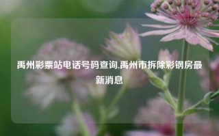 禹州彩票站电话号码查询,禹州市拆除彩钢房最新消息