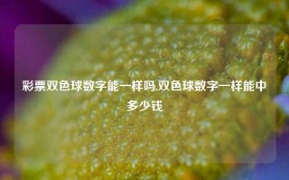 彩票双色球数字能一样吗,双色球数字一样能中多少钱