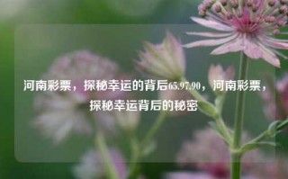 河南彩票，探秘幸运的背后65.97.90，河南彩票，探秘幸运背后的秘密，揭秘河南彩票，探寻幸运的密码65.97.90