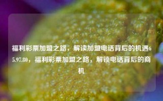 福利彩票加盟之路，解读加盟电话背后的机遇65.97.80，福利彩票加盟之路，解锁电话背后的商机，解锁商机，探索福利彩票加盟之路——电话背后的财富密码