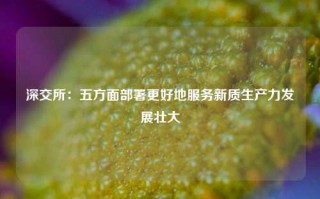 深交所：五方面部署更好地服务新质生产力发展壮大