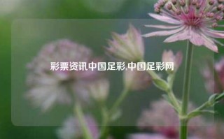 彩票资讯中国足彩,中国足彩网