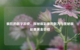 疯狂的数字游戏，探秘疯彩票的魅力与奥秘疯彩票黄金价格