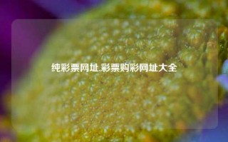 纯彩票网址,彩票购彩网址大全