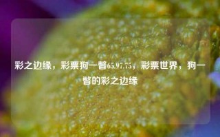 彩之边缘，彩票狗一瞥65.97.75，彩票世界，狗一瞥的彩之边缘，彩票世界中的彩之边缘，狗一瞥65.97.75的探险之旅