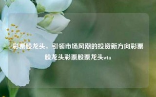 彩票股龙头，引领市场风潮的投资新方向彩票股龙头彩票股票龙头wta