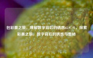 包彩票之旅，理解数字背后的诱惑65.97.91，探索彩票之旅，数字背后的诱惑与奥秘，彩票之旅，探索数字背后的诱惑与奥秘