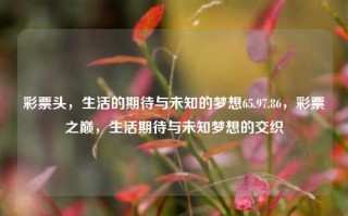 彩票头，生活的期待与未知的梦想65.97.86，彩票之巅，生活期待与未知梦想的交织，彩票头与梦想交汇，生活期待与未知的奇幻65.97.86之旅