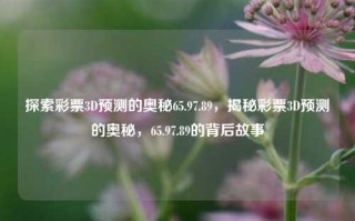 探索彩票3D预测的奥秘65.97.89，揭秘彩票3D预测的奥秘，65.97.89的背后故事，揭秘65.97.89背后的彩票3D预测奥秘