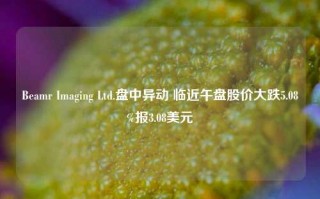 Beamr Imaging Ltd.盘中异动 临近午盘股价大跌5.08%报3.08美元