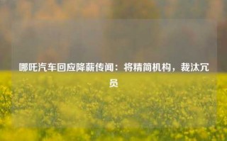 哪吒汽车回应降薪传闻：将精简机构，裁汰冗员