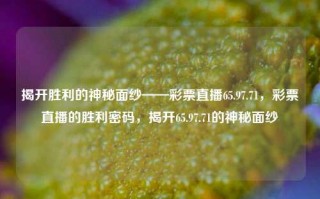 揭开胜利的神秘面纱——彩票直播65.97.71，彩票直播的胜利密码，揭开65.97.71的神秘面纱，解读胜利的面纱 ——65.97.71彩票直播的神秘密码