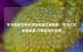 华为智能充电全球业务副总裁彭鹏：华为已在全国部署5万根超快充电桩