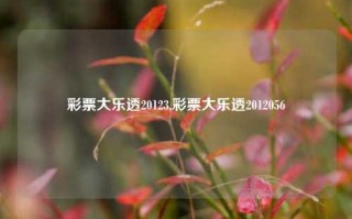 彩票大乐透20123,彩票大乐透2012056