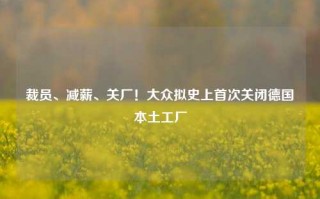 裁员、减薪、关厂！大众拟史上首次关闭德国本土工厂