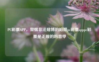 PC彩票APP，警惕非法赌博的陷阱pc彩票apppc彩票是正规的吗意甲