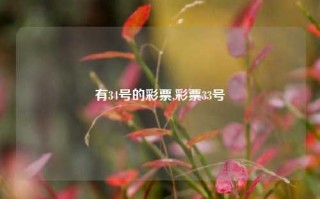 有34号的彩票,彩票33号